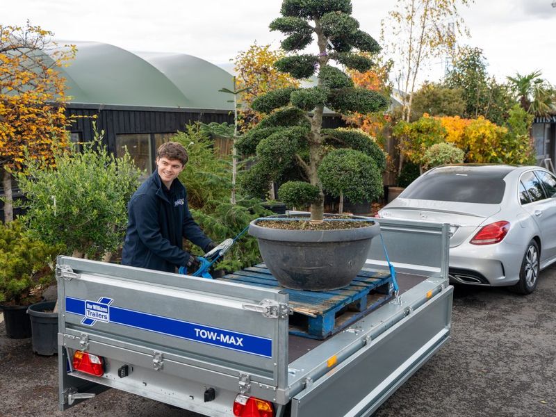 IFOR WILLIAMS TOW-MAX PRO 3617 2700kg